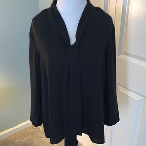 Anne Klein Sheer, Long Sleeve Blouse